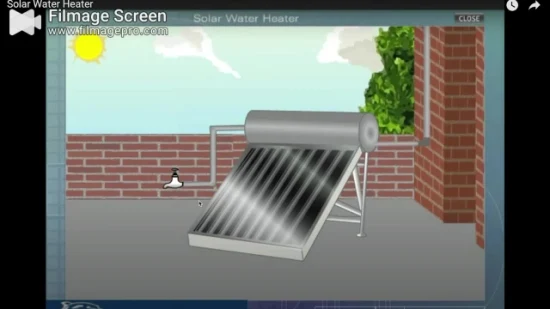Aquecedor solar de água de placa plana de circuito aberto com coletor de tanque de armazenamento de água quente direta